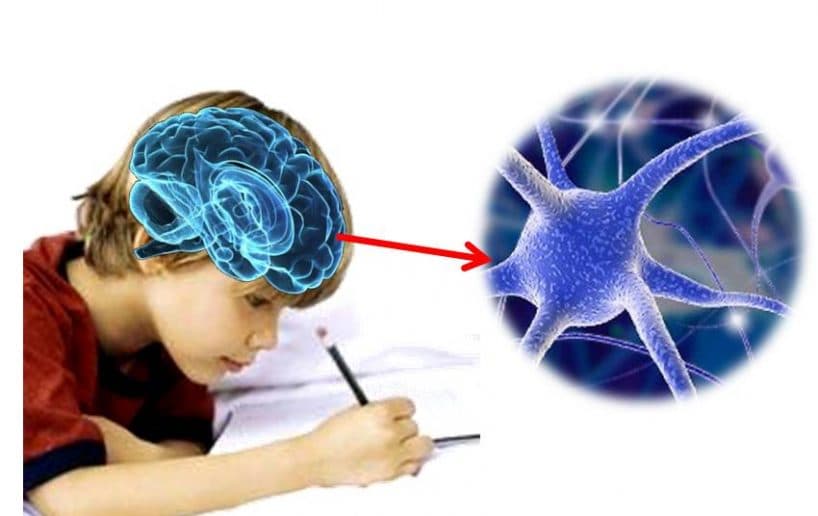 Escritura inteligente